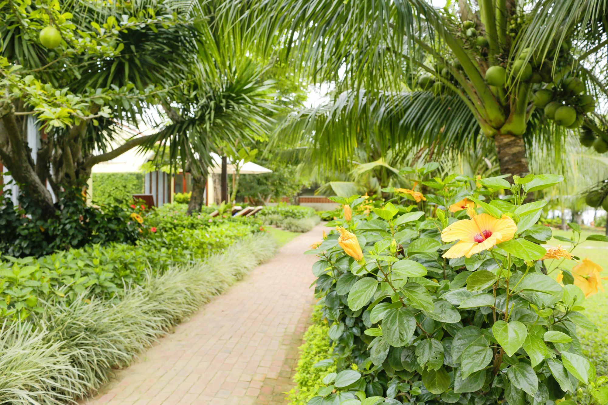 Mulberry Collection Silk Marina Imperial Wing Hotel Hoi An Exterior photo